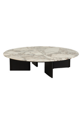 Natural marble with wooden base Coffee Table